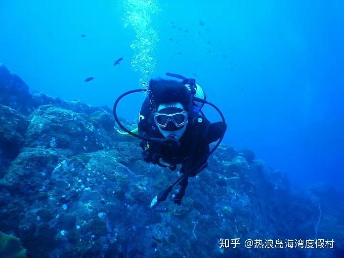 逃离声望森林