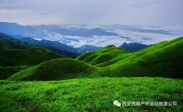 蜜雪冰城抹茶盛典：颜值与口味的双重盛宴